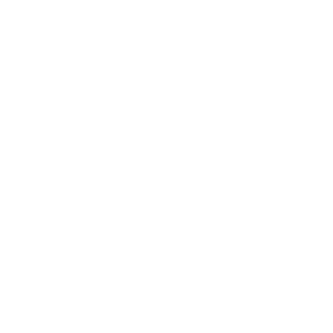 Perfects